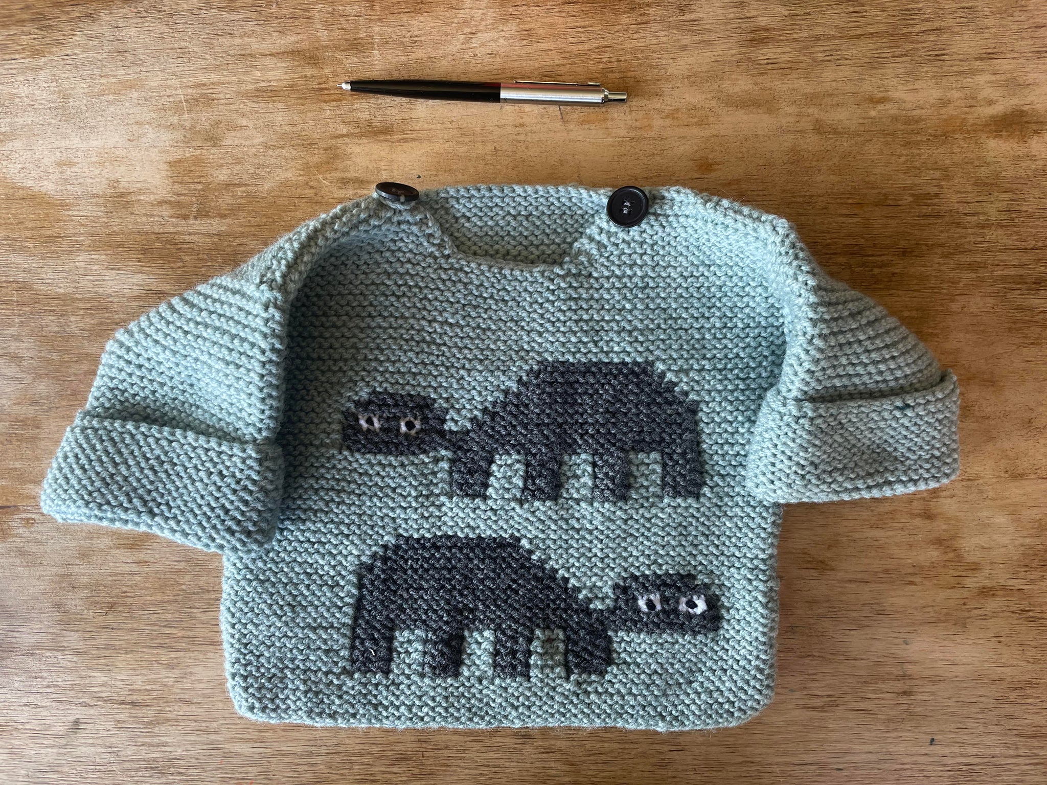 Turtles Sweater – home home